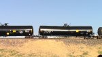 EB Manifest Frt at Erie NV W-Pshr -119